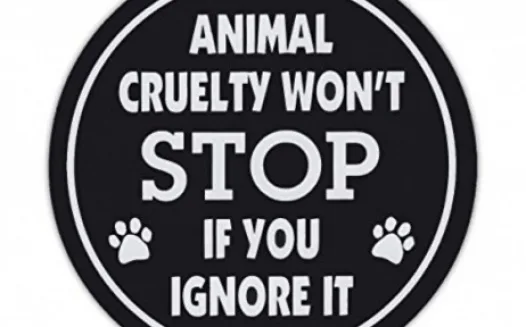 Animal cruelty