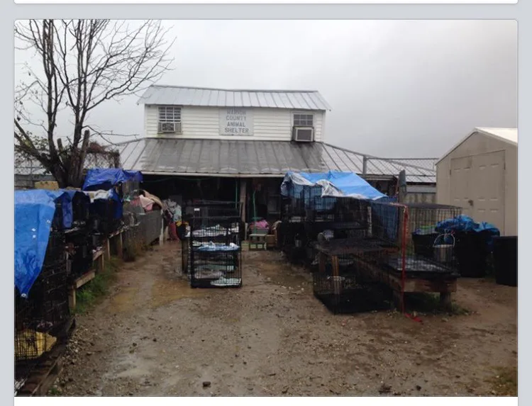 A new animal shelter for Marion, South Carolina.