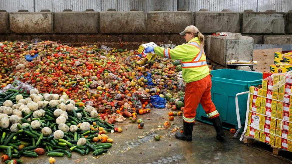 Supermarkets, Stop Wasting Food!