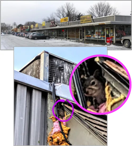 Help Bring Monroe Avenue Plaza Up to Code
