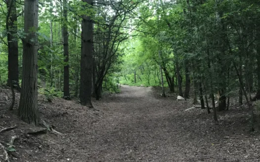 Save Sunnidale Dog Park