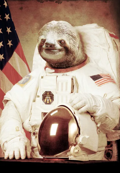 It's Time for Sloth Based Curriculum