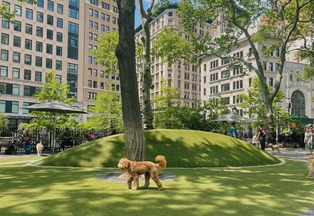 Seton Park Dog Run - Funds not properly channeled