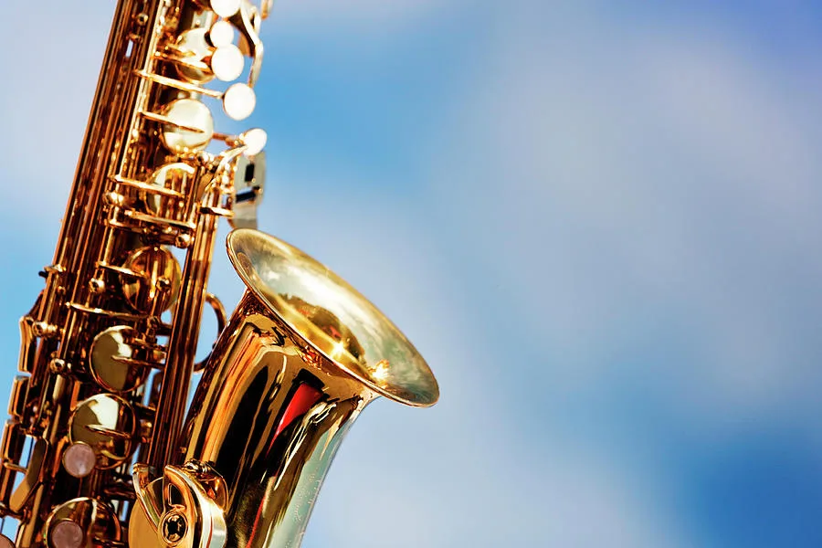 Get Miriam to Dress Like Epic Sax Man for Halloween