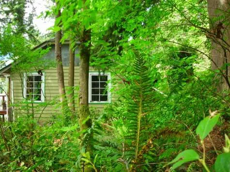 Save Belcarra South Cottages & Community