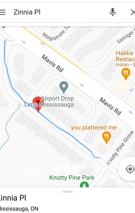 Stop speeders on Zinnia Place (detached homes)