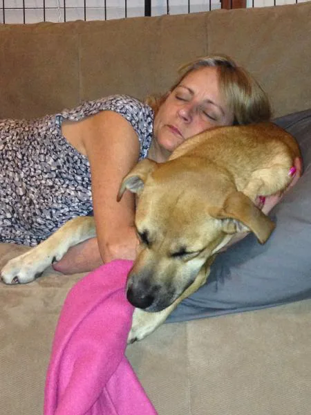 Justice for Lilly