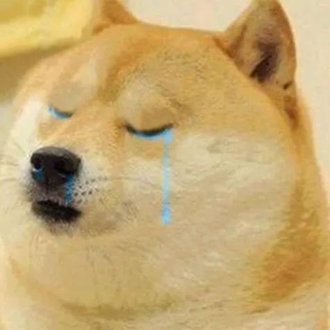 Bring Back the Doge