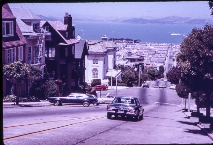 Divisadero Safe Neighborhood Petition