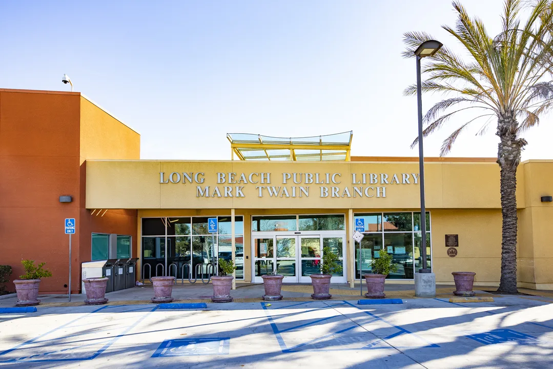 Save Our Libraries