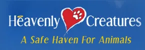 Audit heavenly creatures! Expose the truth