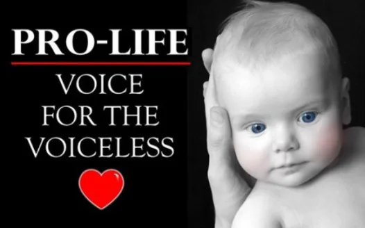 Make abortion illegal