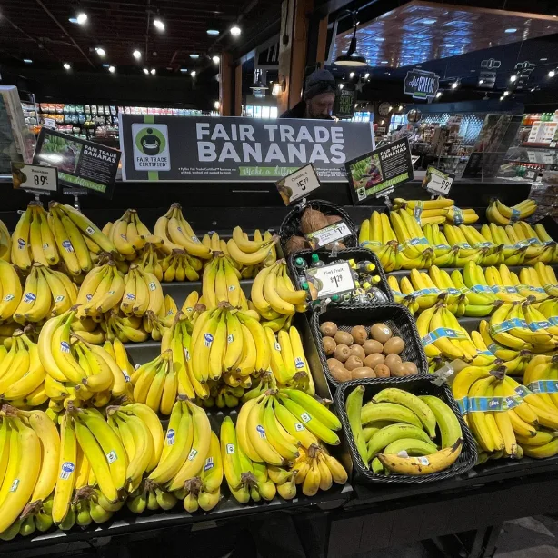 Petition to Make Davidson a Fair Trade Town