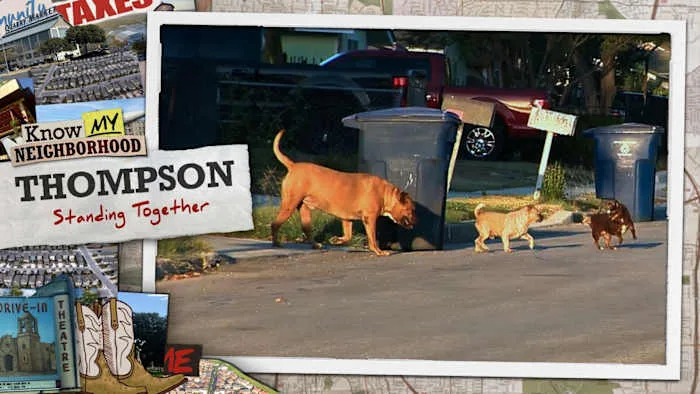 Petition to enact leash law in Town of Halifax, VA