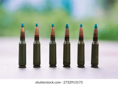 Stop Firearms Amendment (Ammunition Control) Bill 2012