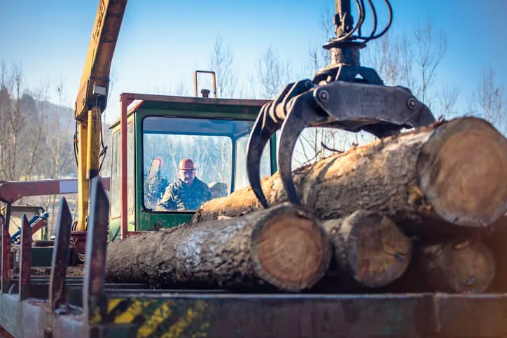 Supporting Australian Forest Industries