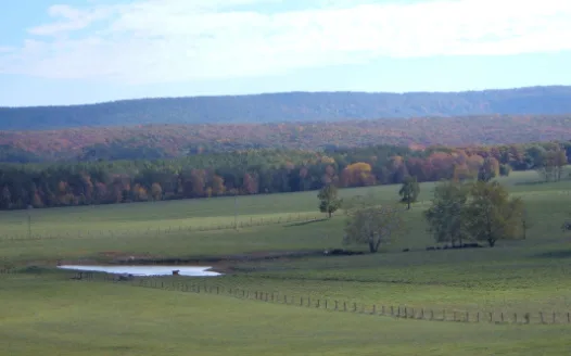 No to Data Centers, Yes to Rural Preservation - Frederick County, VA