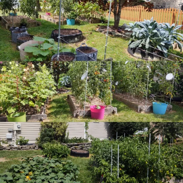 Support for the Garden on 1086 Brown