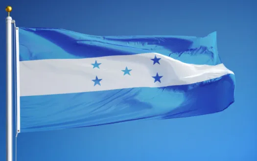 Save Honduras 