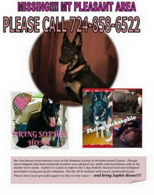 Bring Sophie home!!!