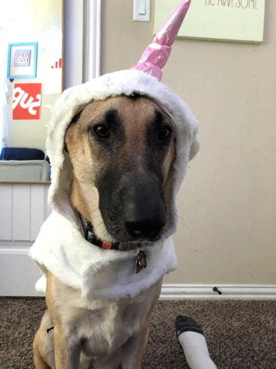bring topaz trick or treating