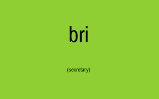 Brianna Pack for 1L Class Secretary