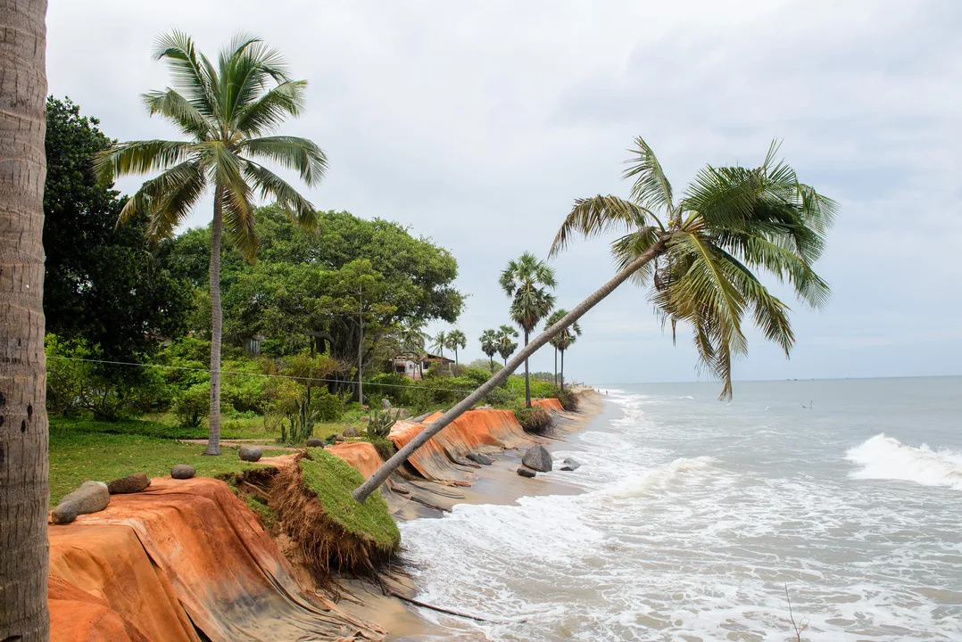 Save the Auroville beaches!
