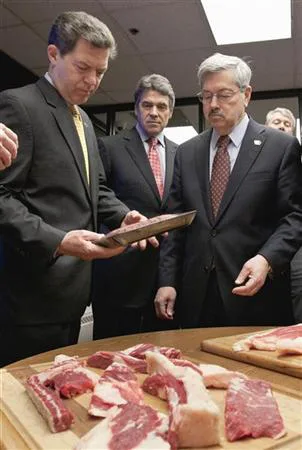 Ban "Lean Beef Trimmings" A.K.A. "Pink Slime" for human consumption in The United States.