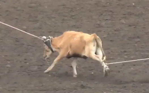Keep the Rodeo out of Las Vegas