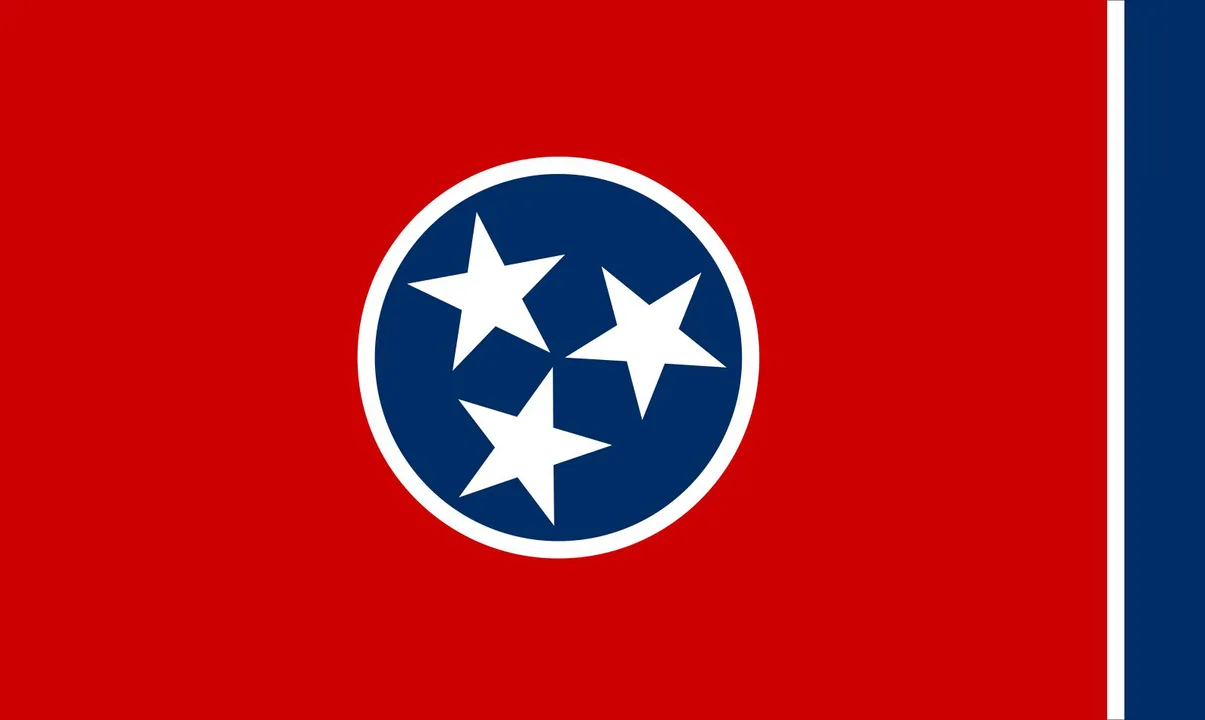 Tennessee Nullification New Federal Gun Laws