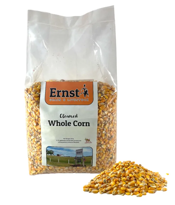 Stop FEEDING US CORN EVERYTHING