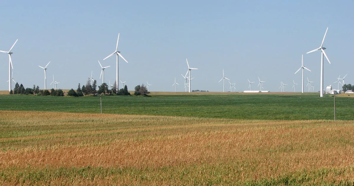 No Wind Wayne Co