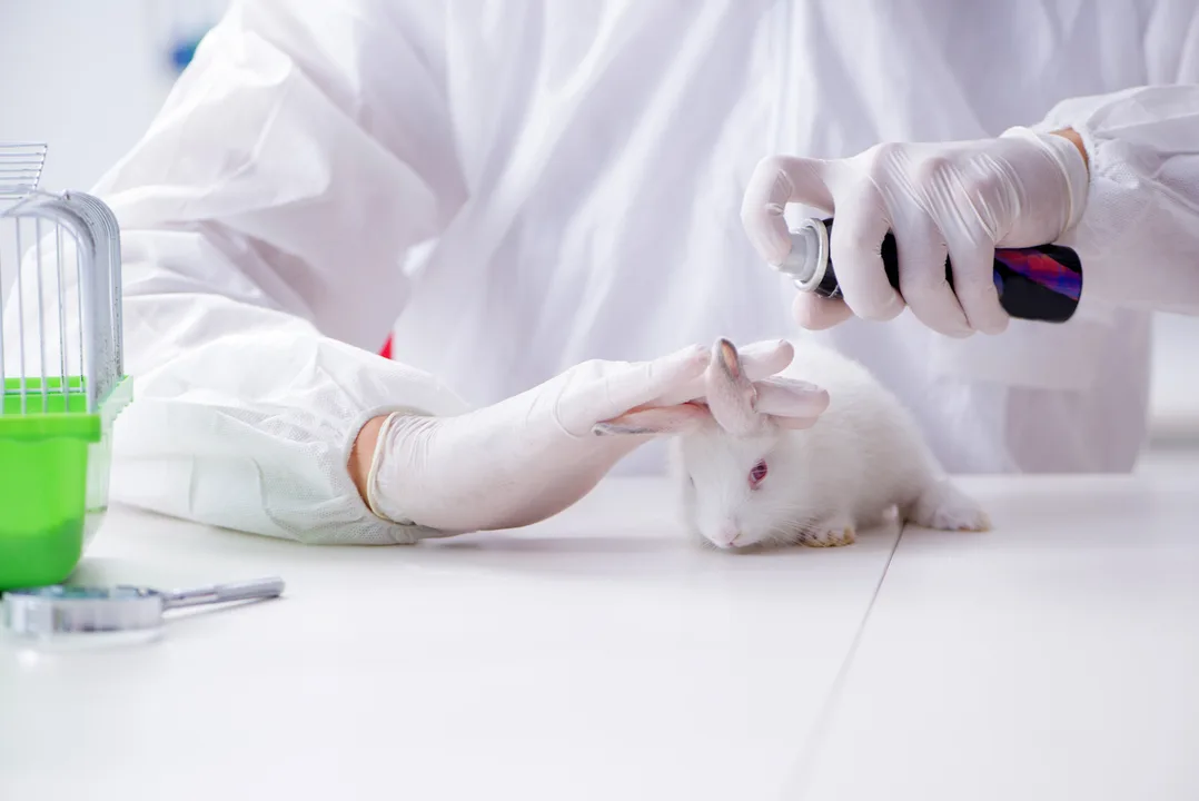 Stop Unnecessary Animal Testing 