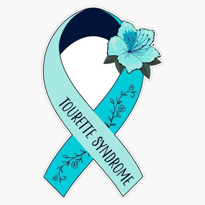 Tourette Awareness, ICSD