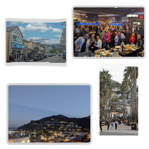 Catalina does not need a new TBID "Tax"
