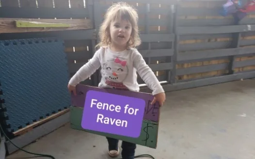 Fence for Raven