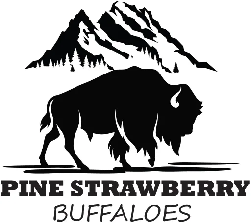 Pine Strawberry Elementary