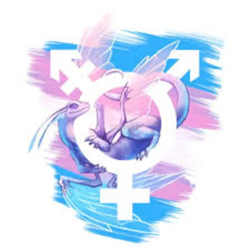 trans rights justice