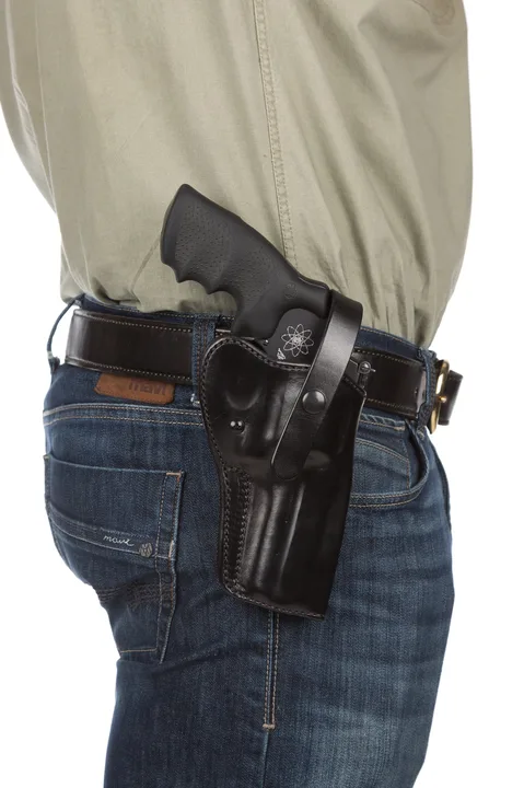 Petition to Restore Floridians' Open Carry