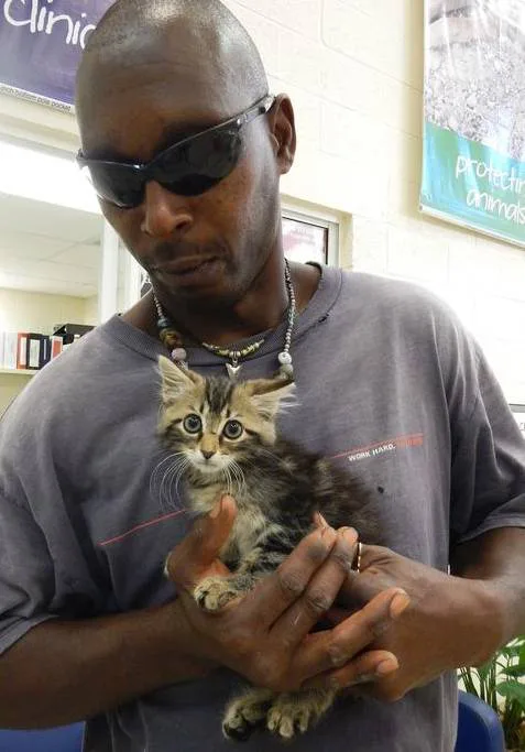 Mandatory Spaying And Neutering Dogs And Cats