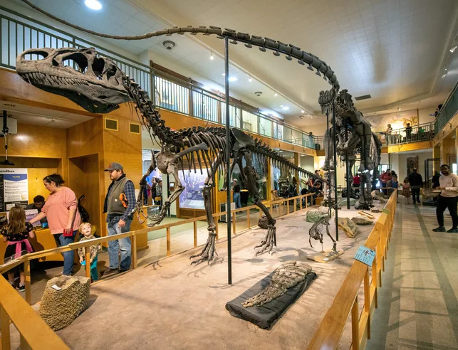 Save the University of Wyoming Geological Museum