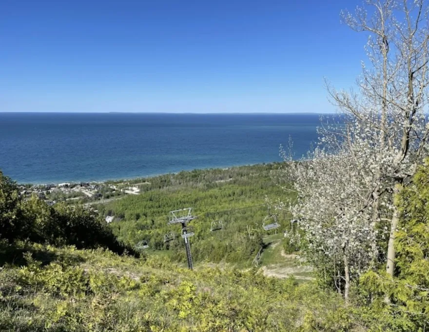 Help Save Our Access to Loree Forest