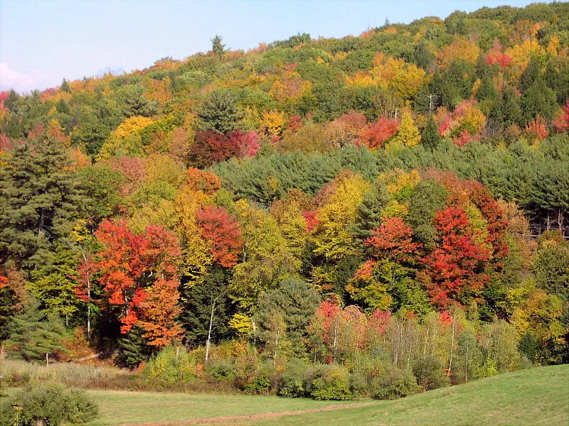 Scenic and Wild Northwest Connecticut