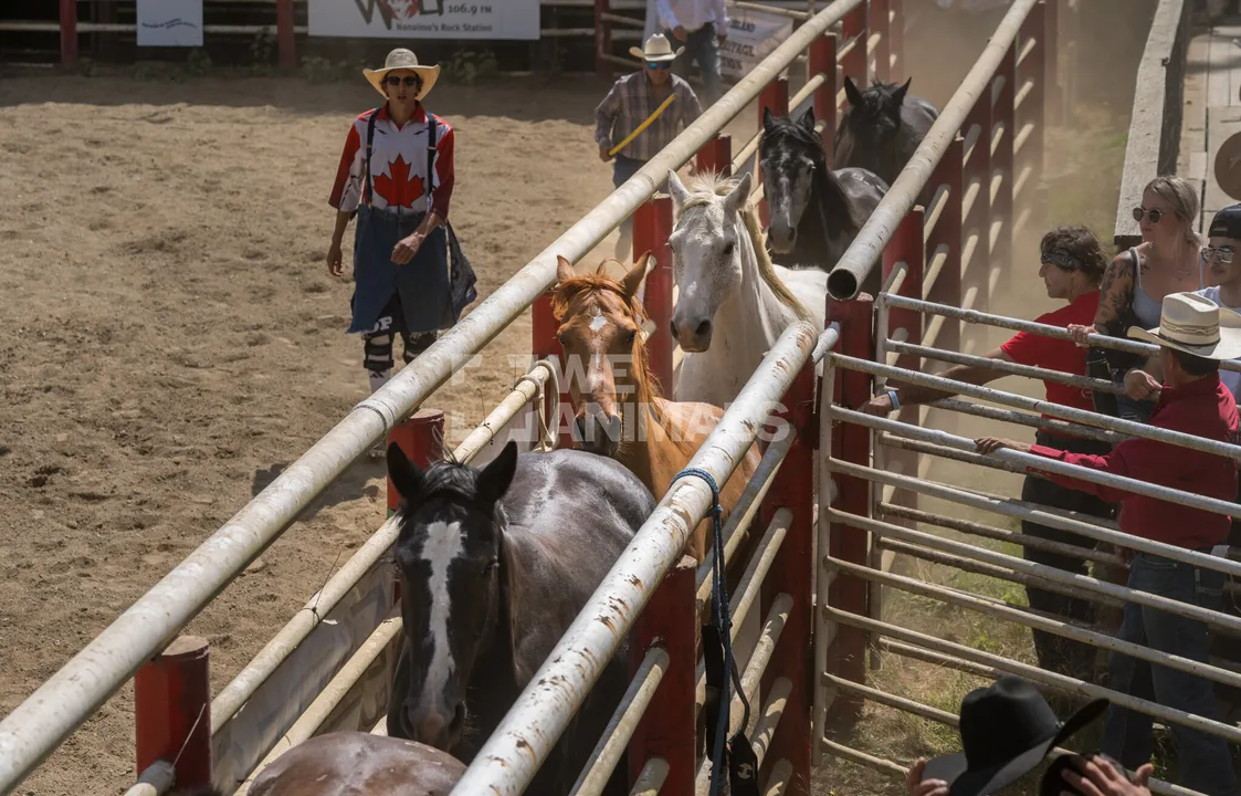 End Wild Horse Racing in North America
