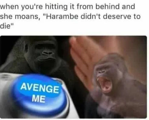 Bring Back Harambe