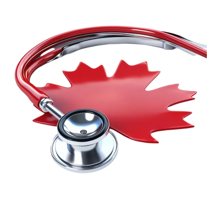 Canadian Doctors for the Protection of Vulnerable Persons in  Medical Assistance in Dying