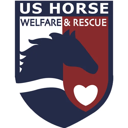 horse slaughter