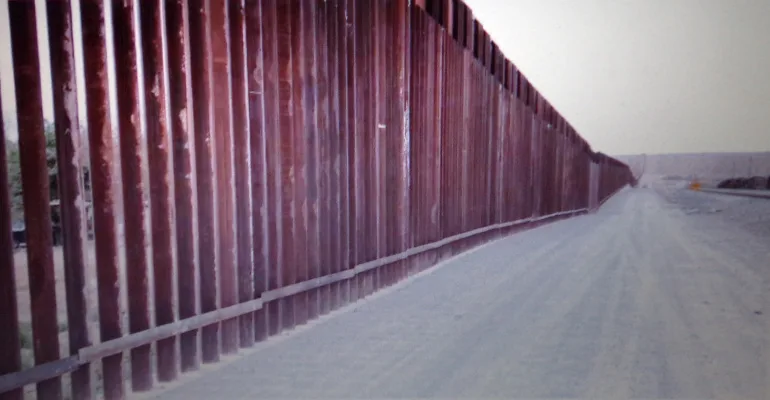 EMERGENCY PETITION FOR BUILDING THE SOUTHERN BORDER WALL