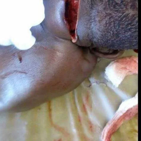 The Federal Government of Nigeria Should stop Fulani Herdsmen from Mass-Murder and Terrorising Citizens
