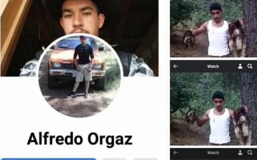 Capturar Y Arrestar Alfredo Orgaz